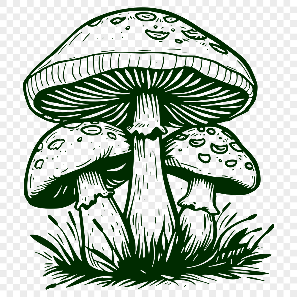 Artistic Mushroom SVG, PNG, PDF And DXF Files