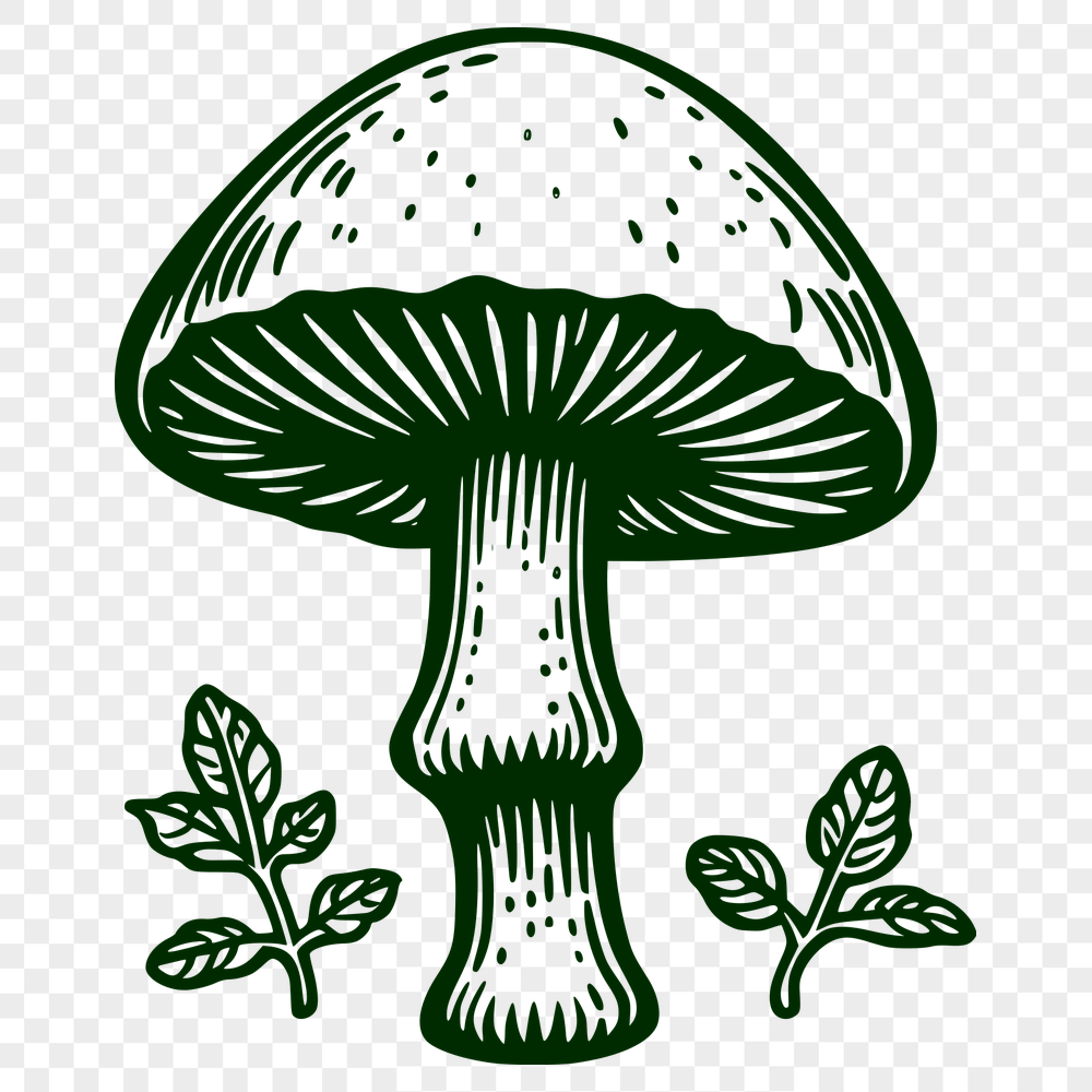 Stunning Mushroom Drawing