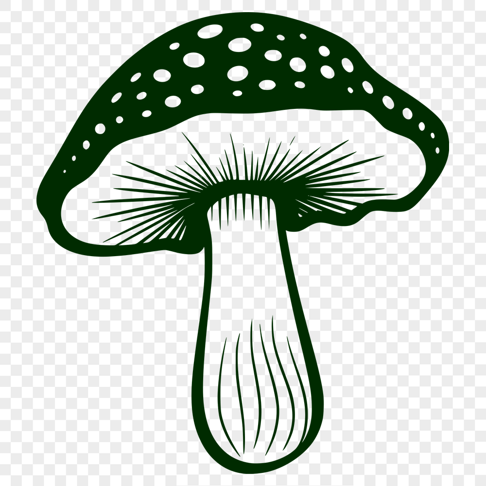 Artistic Mushroom - For Laser Project