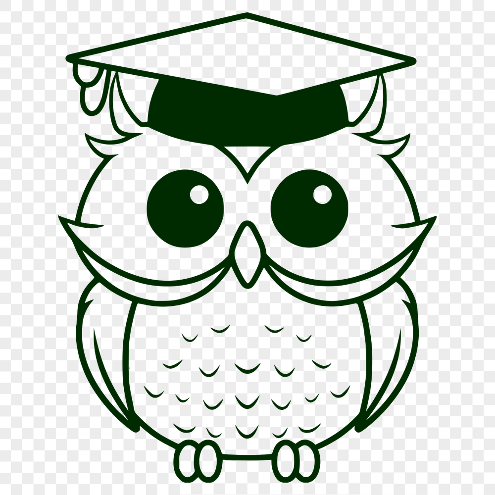 Free Unique Owl Image