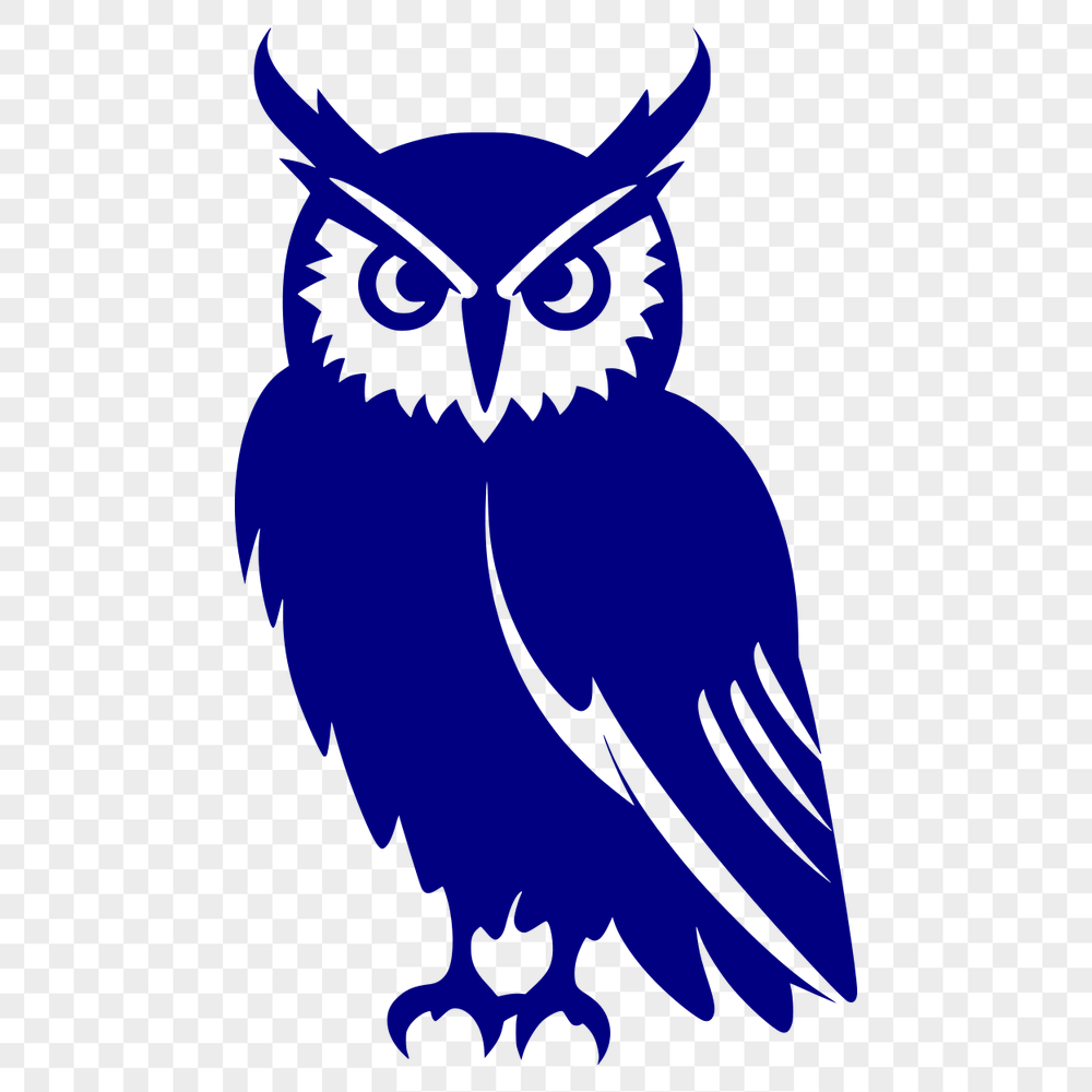 Creative Perched Owl PNG