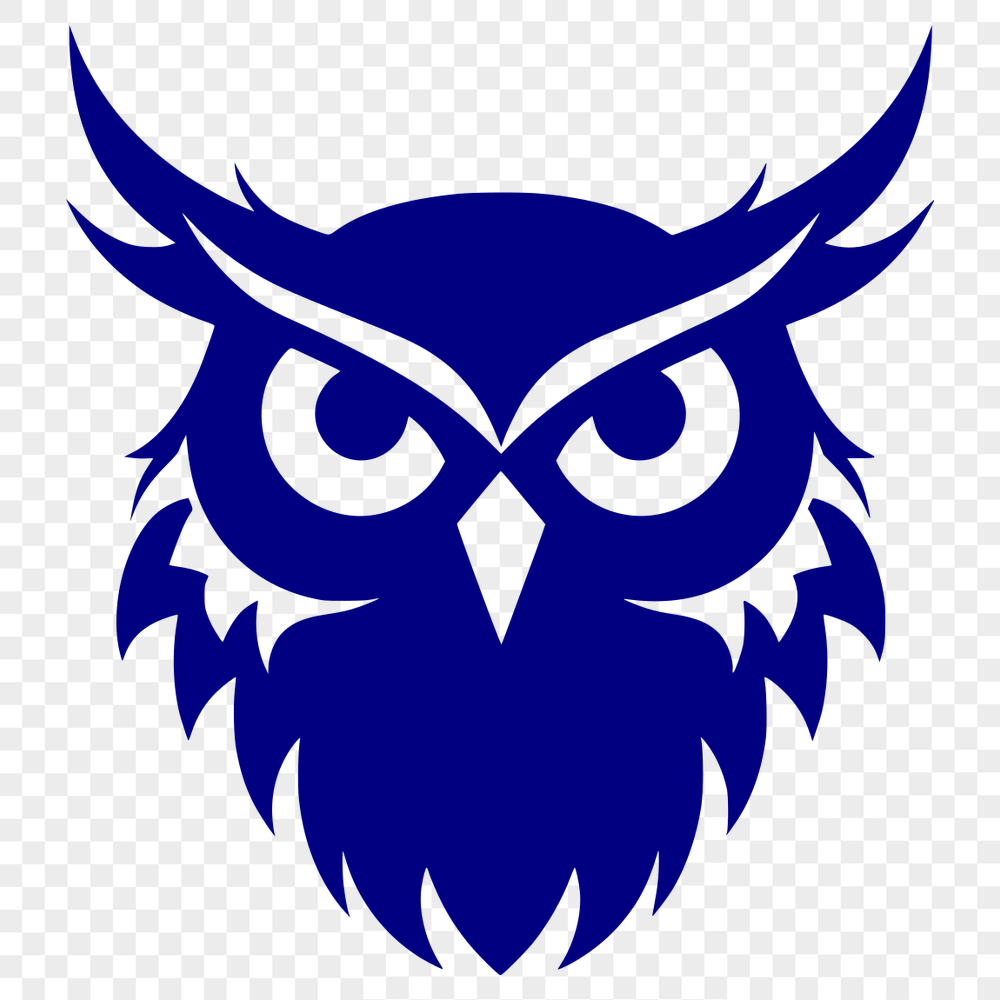 Free Owl Digital Artwork