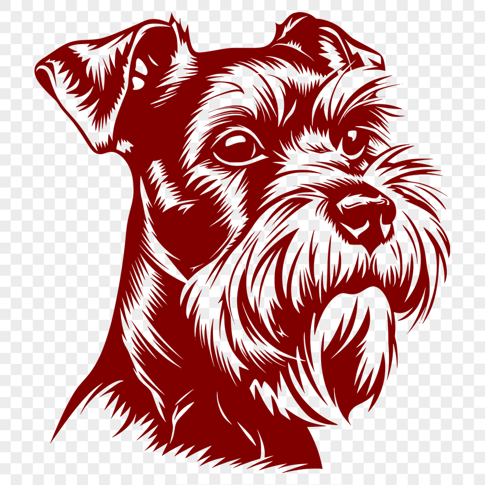 Beautiful Miniature Schnauzer PNG