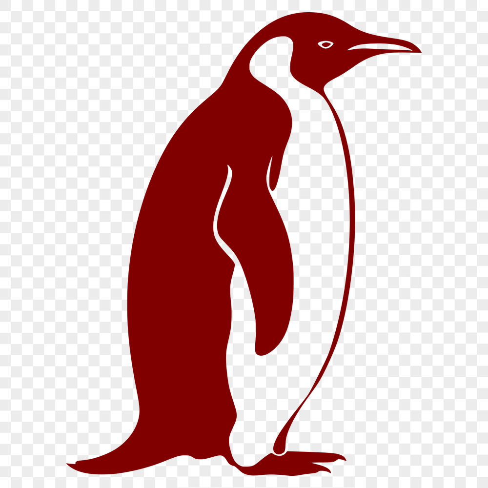 Free Stunning Penguin Vector Illustration