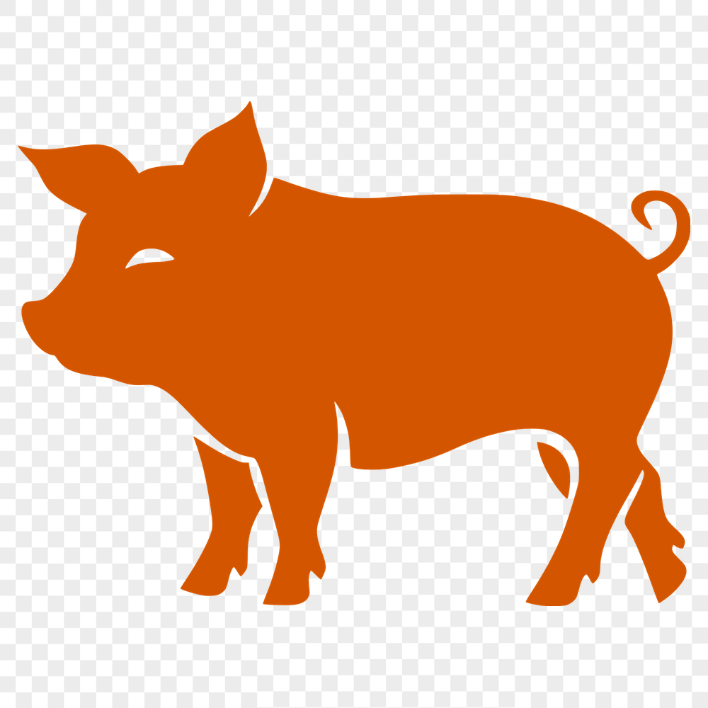 Standing Pig Vector Drawing