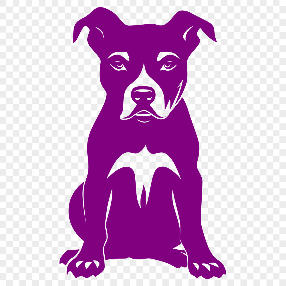 Free Beautiful Pitbull Printable Image