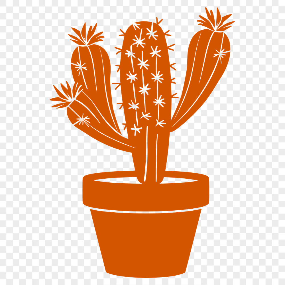 Creative Cactus Digital Drawing