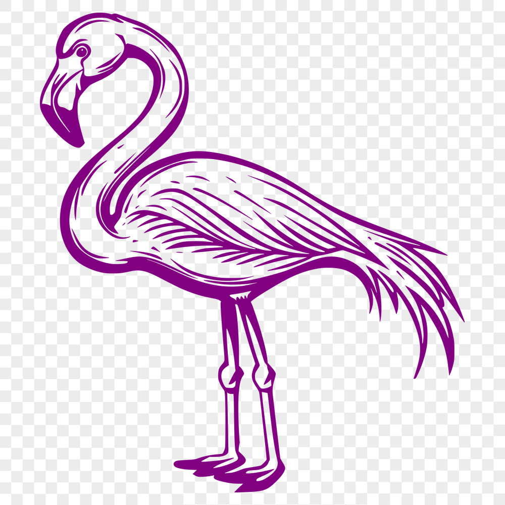 Creative Flamingo - For Laser Project