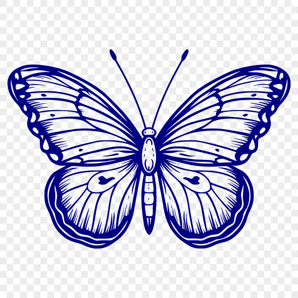 Beautiful Butterfly SVG, PNG, PDF And DXF Files