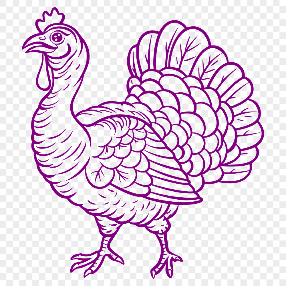 Beautiful Turkey Vector Art