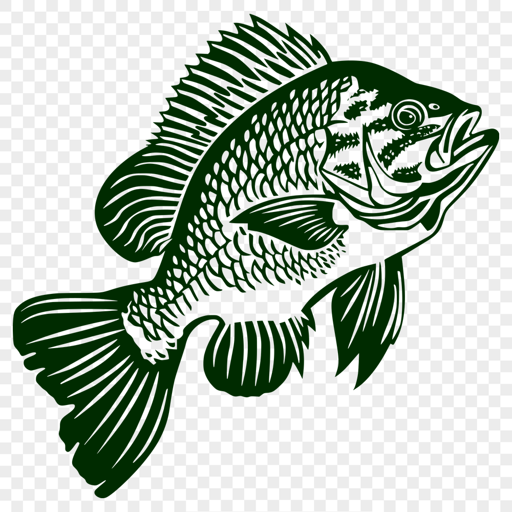 Beautiful Fish - Cricut PDF