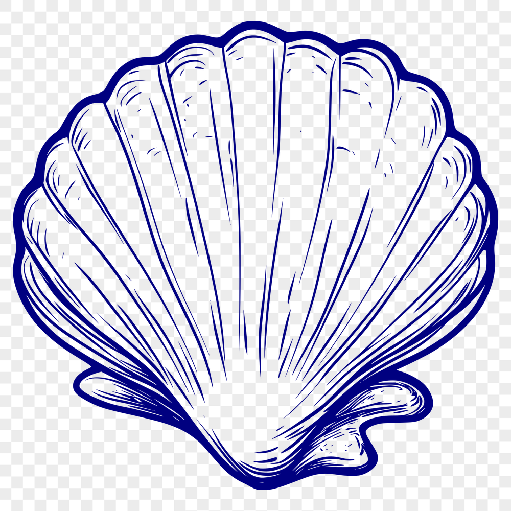 Free Seashell Files For Digital Download In PNG Format