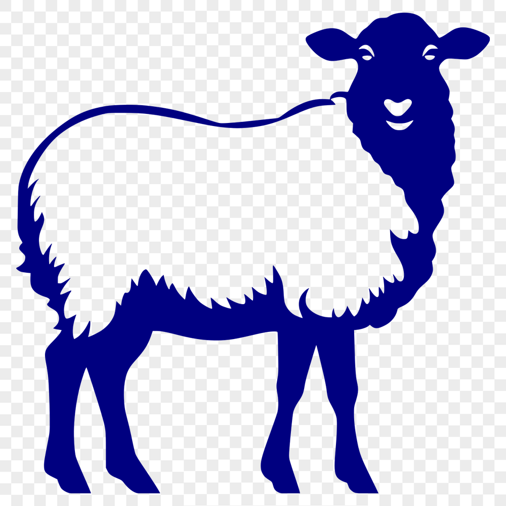 Beautiful Sheep Vector Art