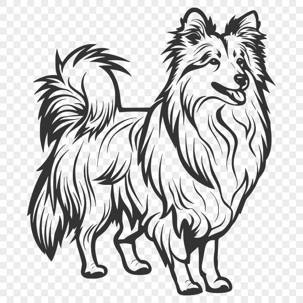 Unique Standing Shetland Sheepdog Vector Art