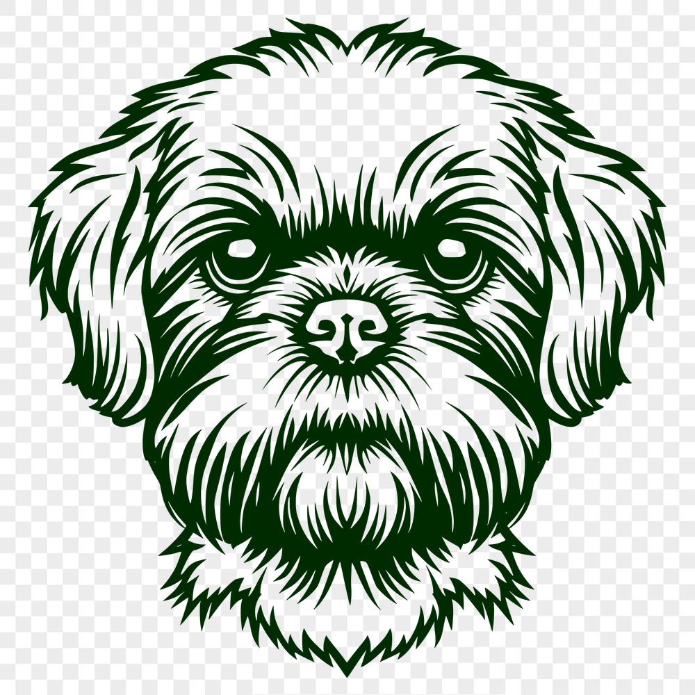 Unique Shih Tzu Artwork