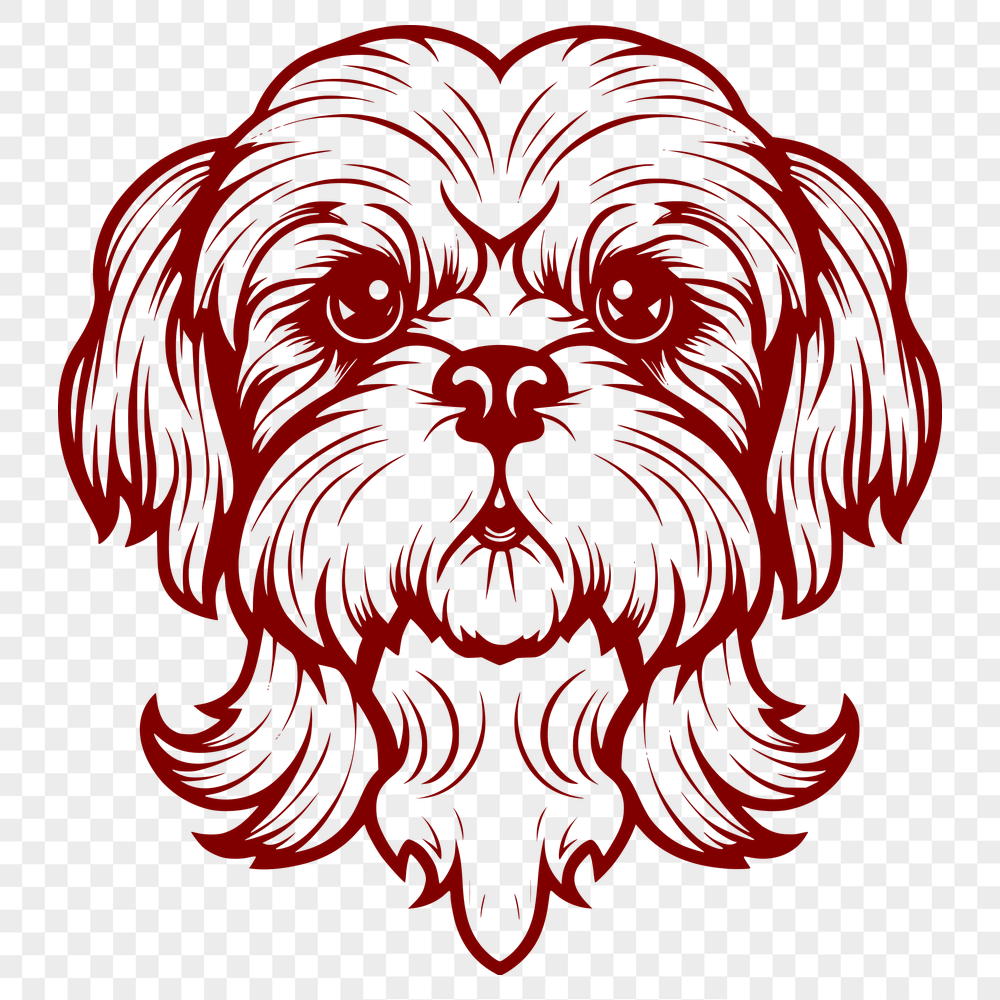 Free Stunning Shih Tzu Drawing