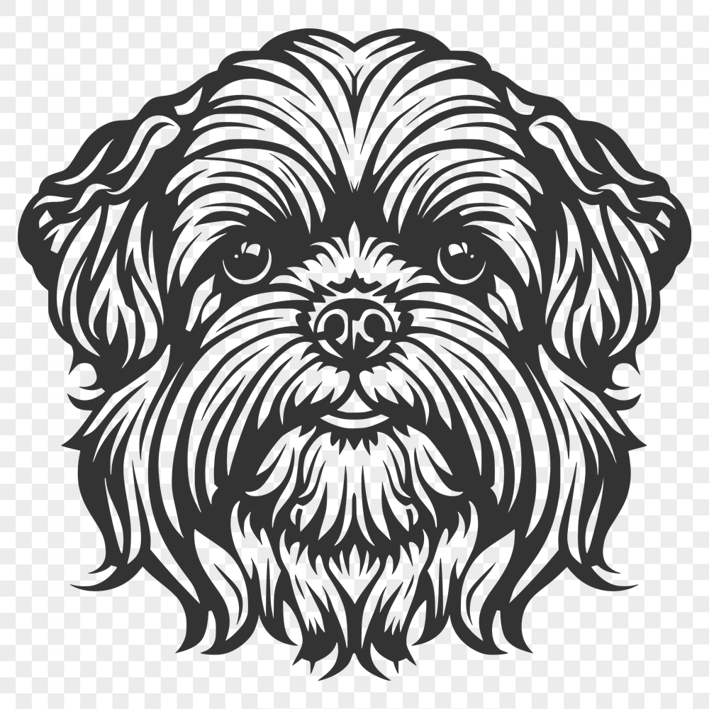 Artistic Shih Tzu Image