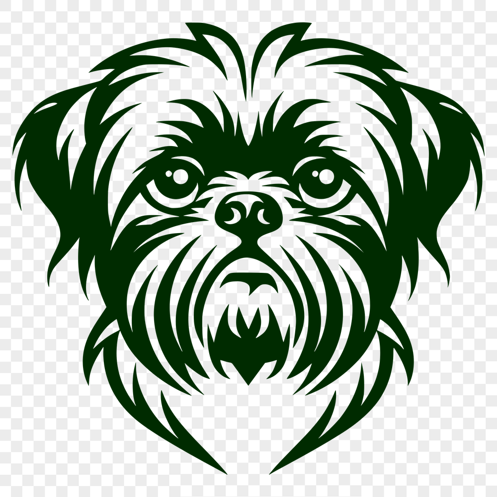 Free Stunning Shih Tzu Printable Image