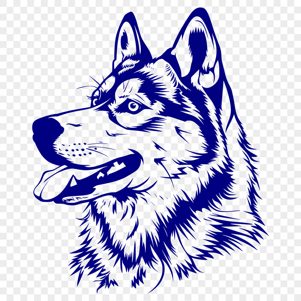 Stunning Husky - For Laser Project