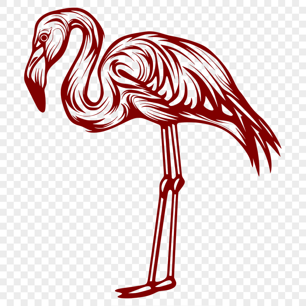 Free Unique Bird Vector Art