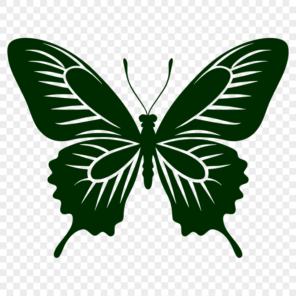 Unique Butterfly Template