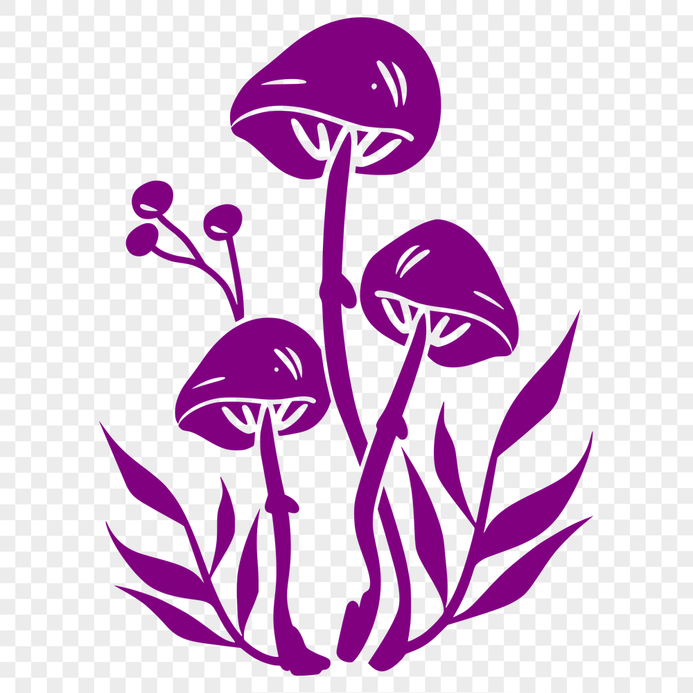 Unique Mushroom Vector Illustration