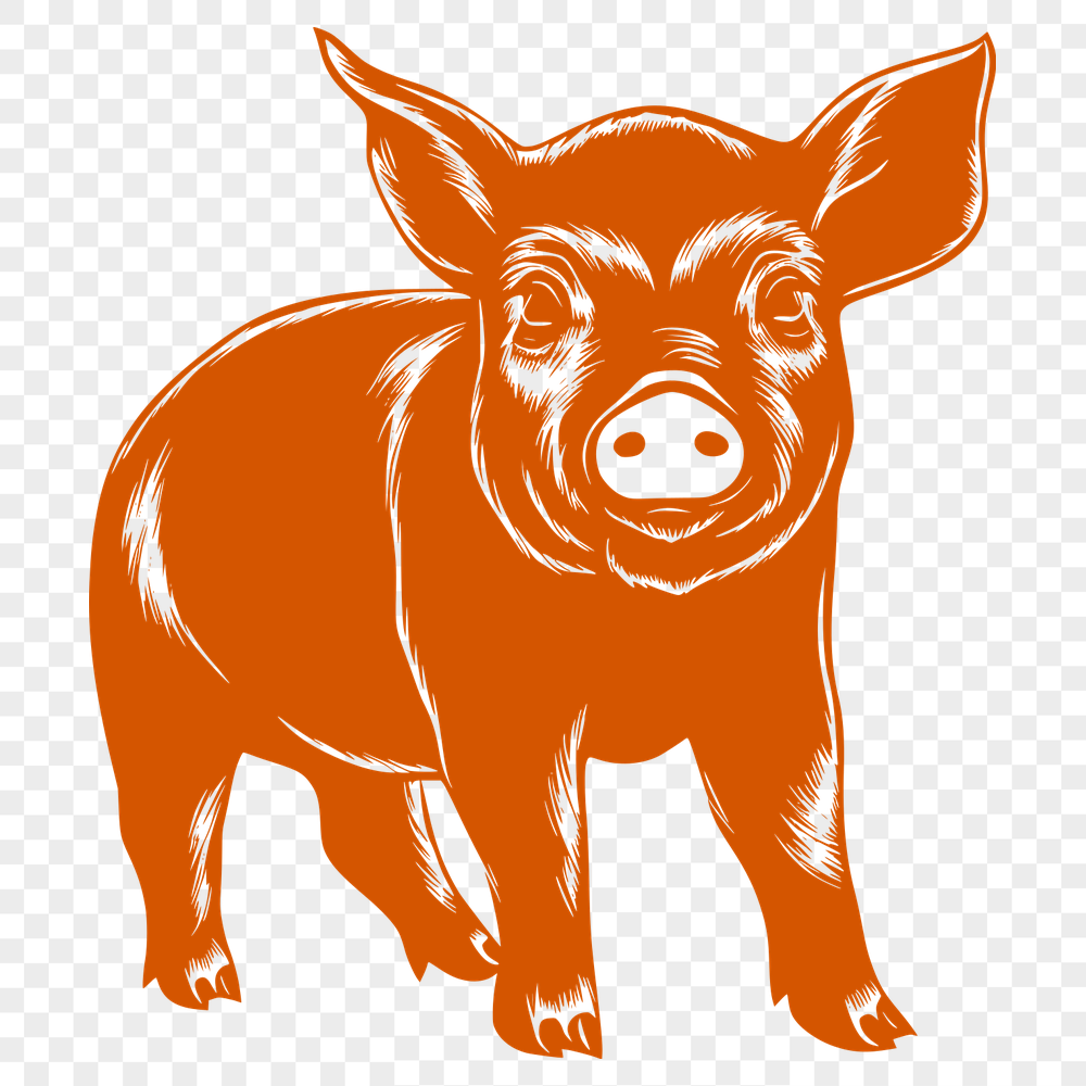 Beautiful Standing Pig Decal