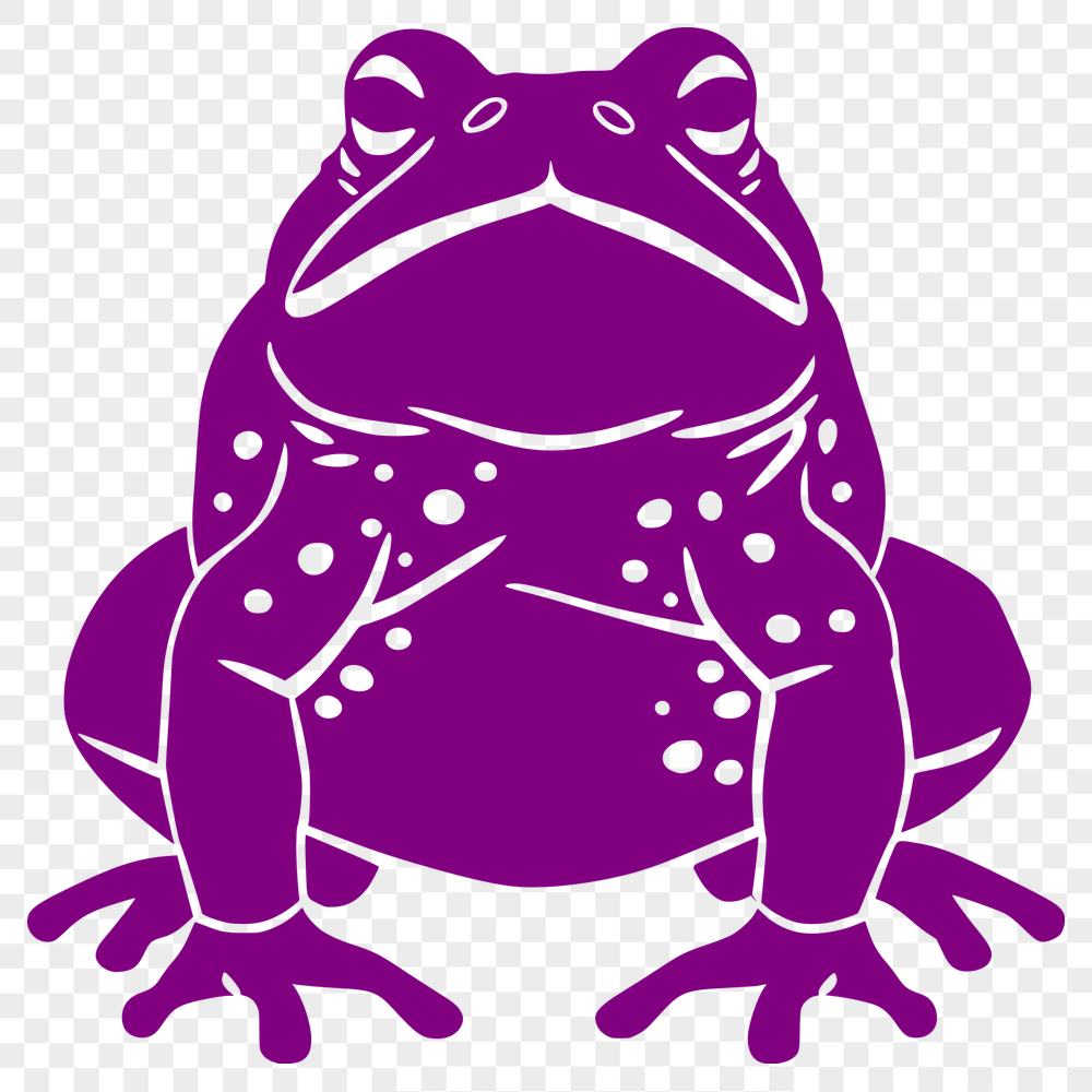 Creative Toad Illustration