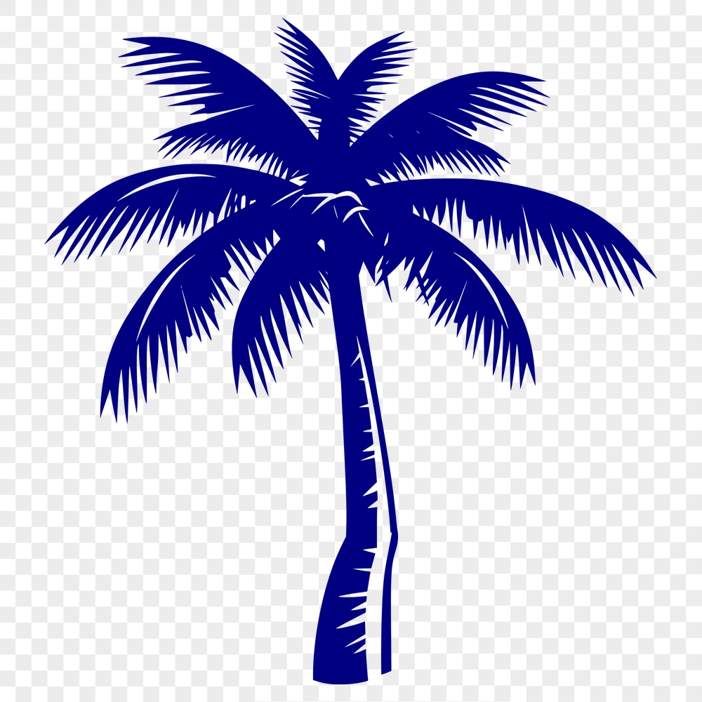 Free Palm Tree PNG - For Vacation Project