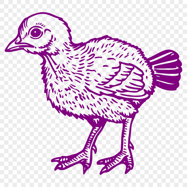 Domesticated Bird SVG Vector Design An SVG vector design of a domesticated bird commonly associated with Christmas celebrations.