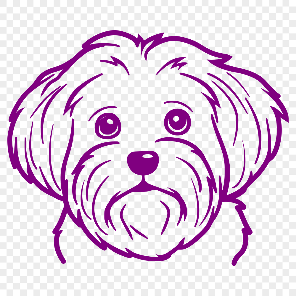 Free Beautiful Havanese Decal