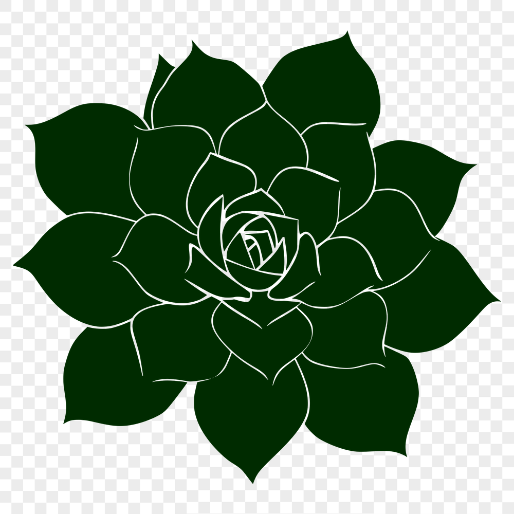 Unique Plant - Vinyl PNG