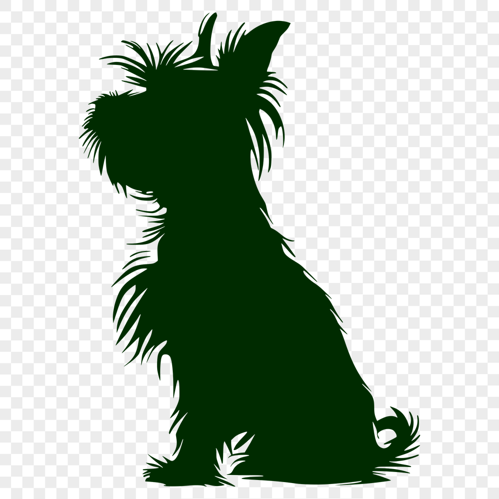 Stunning Sitting Yorkshire Terrier DXF