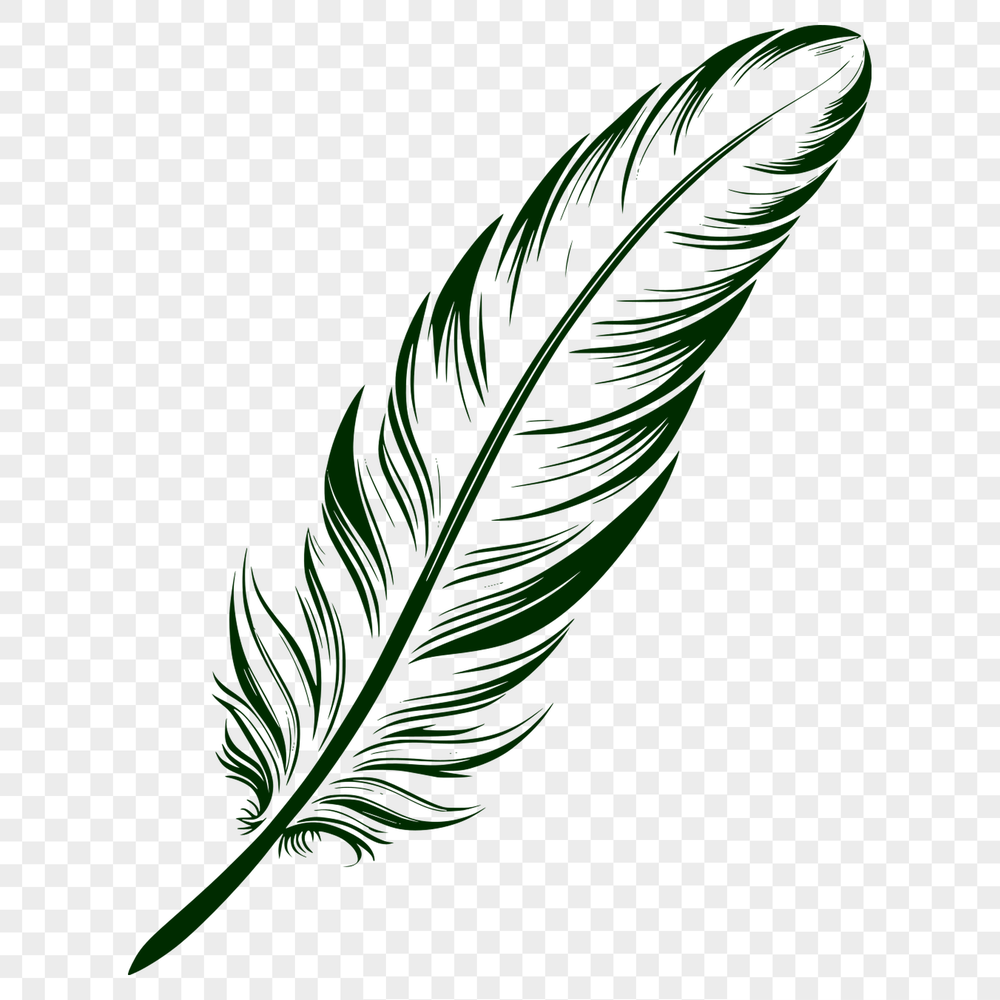 Elegant Feather Clipart Design A high-resolution clipart design of a single feather with clean lines.