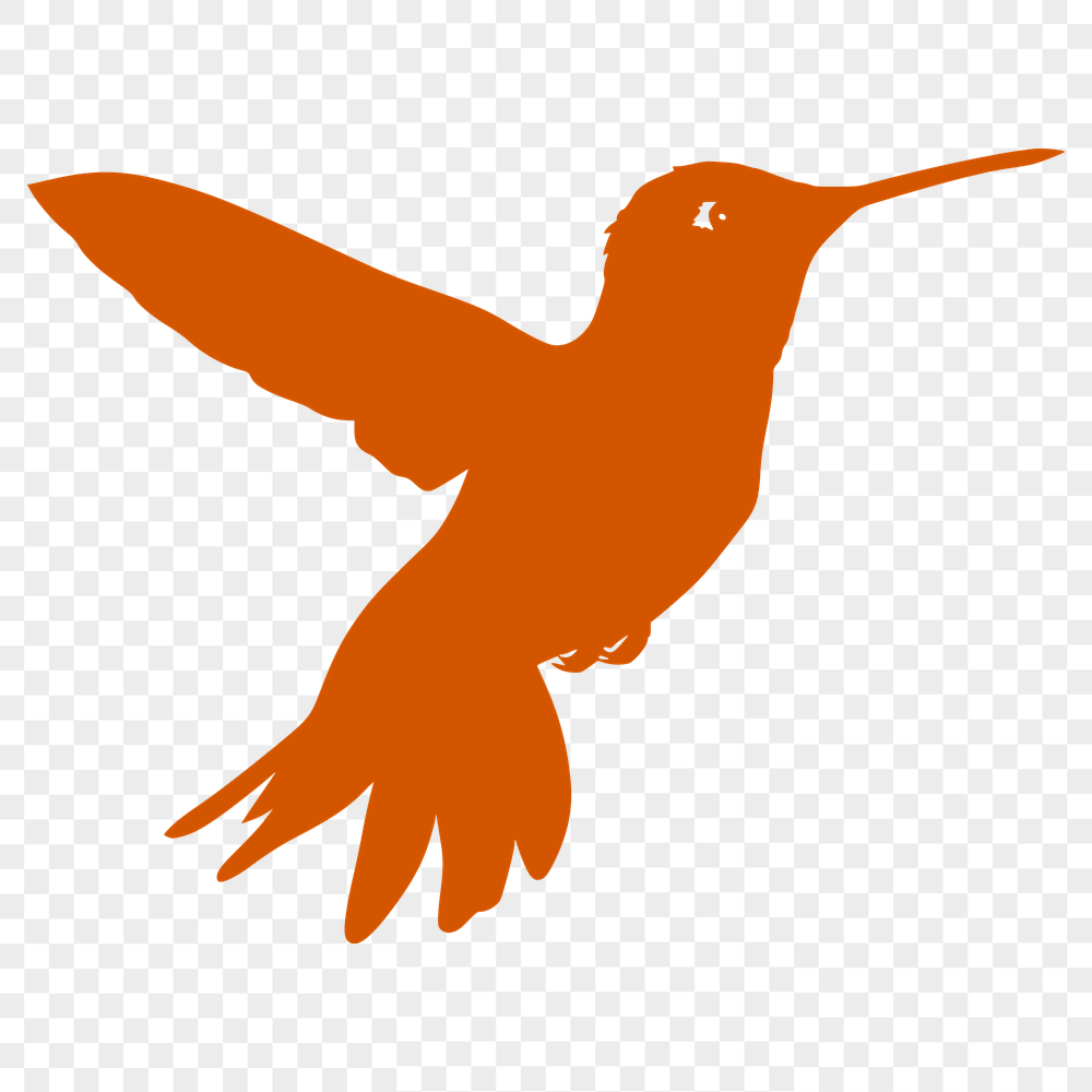 Beautiful Hummingbird SVG, PNG, PDF And DXF Files