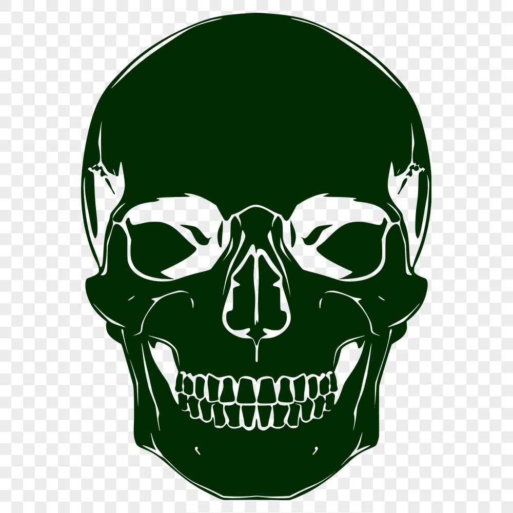 Stunning Skull - Vinyl SVG