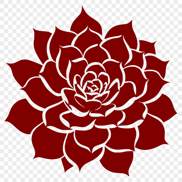 Illustrative depiction of a desert plant, suitable for floral design and gardening projects.