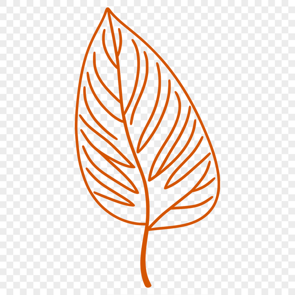 Detailed Green Leaf Graphic A detailed vector illustration of a single green leaf with veins.