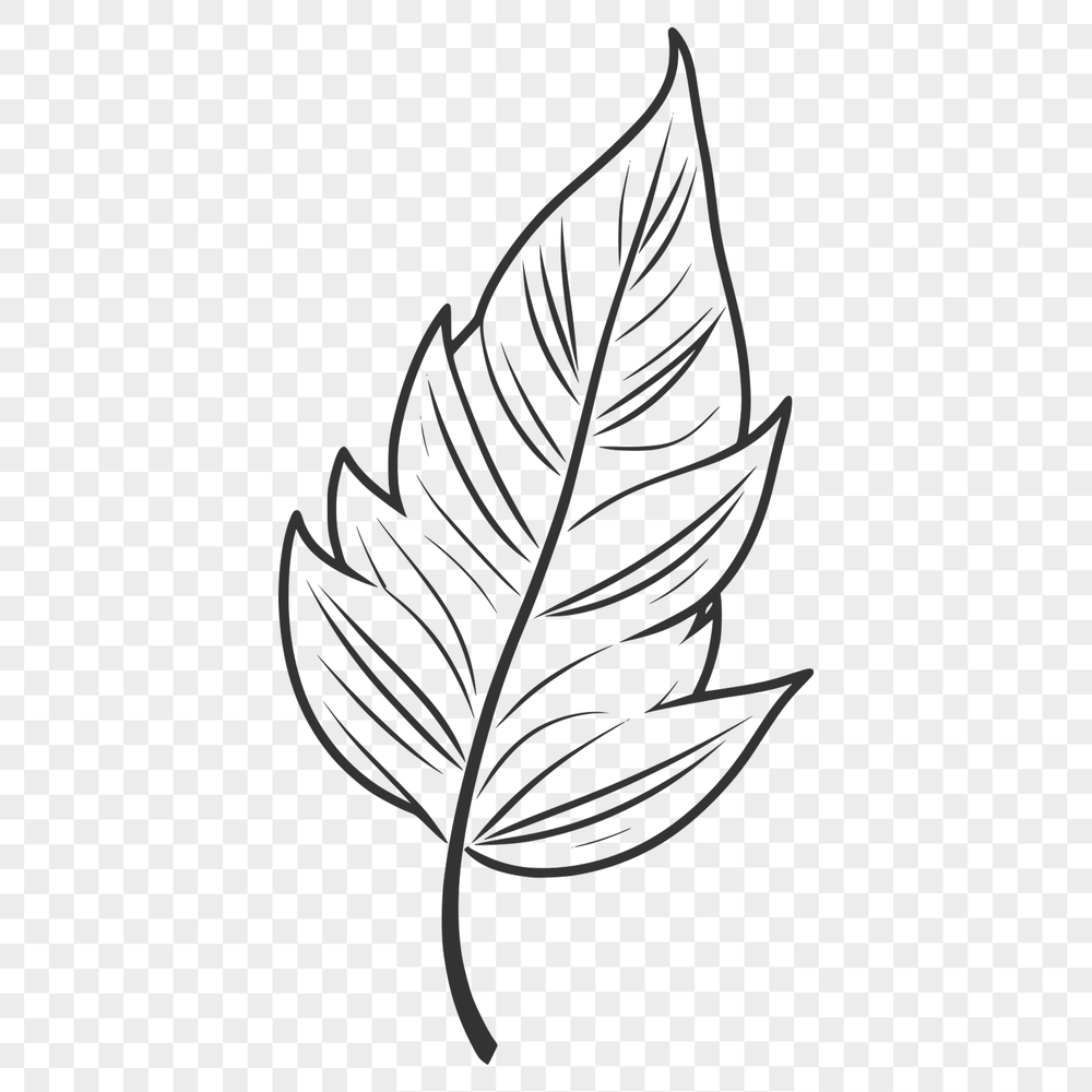 A high-quality vector design of a single leaf with detailed illustration.