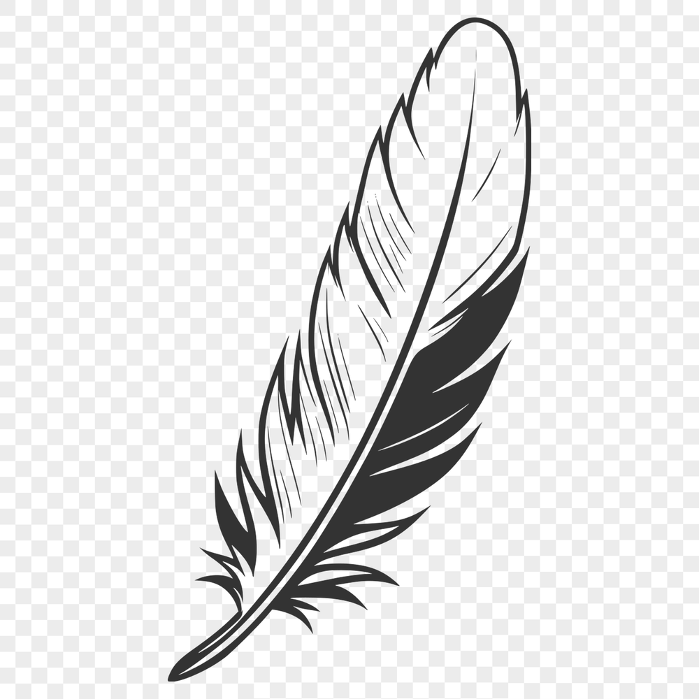 Delicate Single Feather SVG Design A simple illustration of a single feather with delicate details, suitable for vector art and design projects.