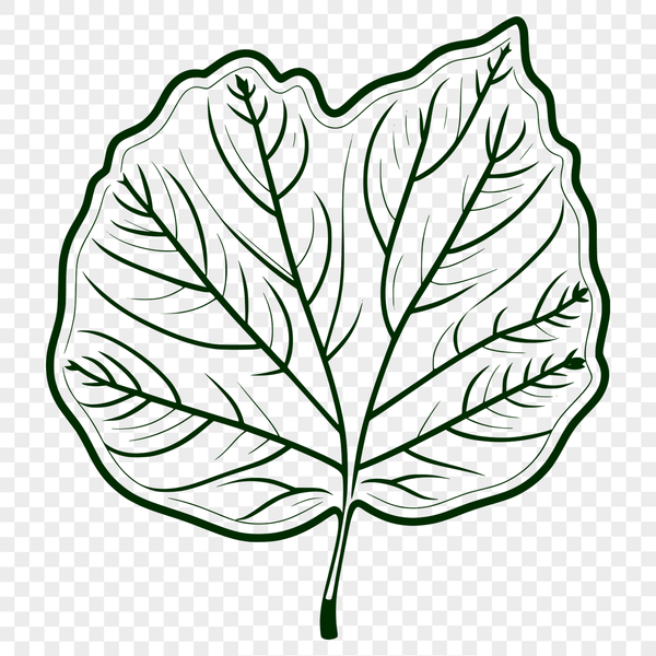 Free Scalable Leaf Graphic A single leaf illustrated in vector format as a scalable graphic element.