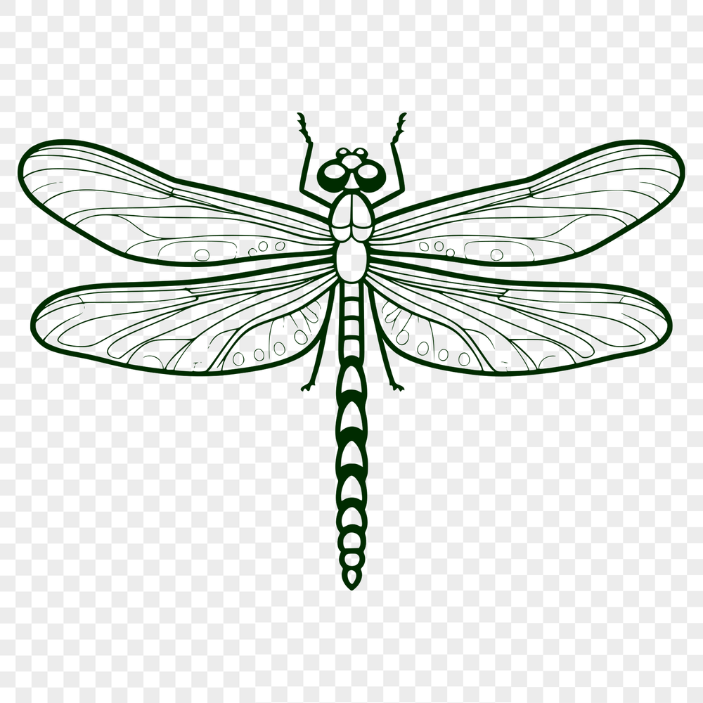 Whimsical Dragonfly Design Vector An SVG graphic of a colorful dragonfly with intricate details.