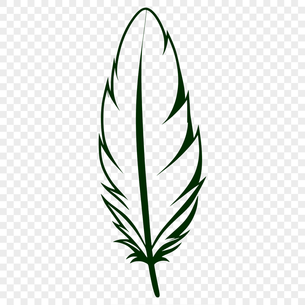 Beautiful Bird's Wing Clip Art A detailed design element featuring a single feather rendered as scalable graphics.