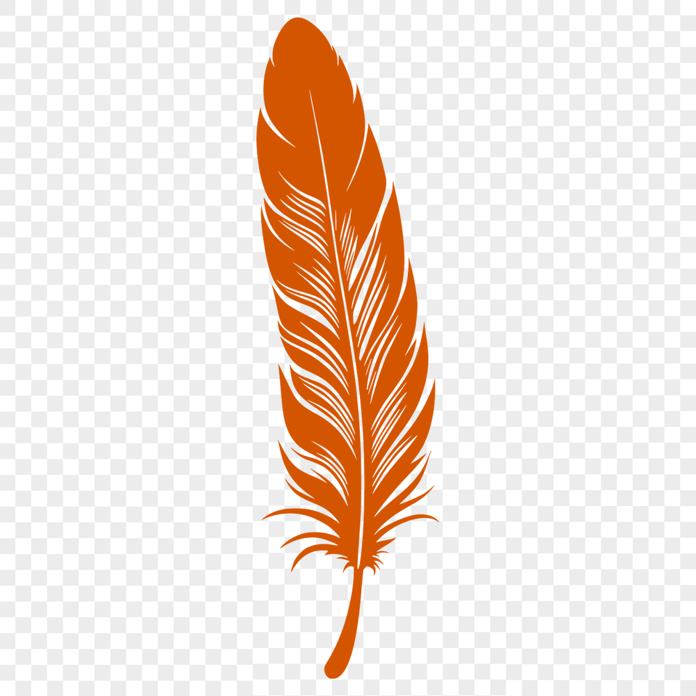 Beautiful Illustration of a Single Feather A detailed, high-quality illustration of a single feather, suitable for vector art designs.