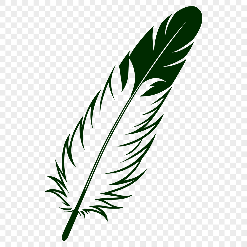 High-Quality Vector Feather Design An isolated illustration of a single feather with detailed texture and shape.