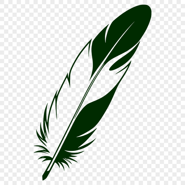 A simple vector illustration of a feather, suitable for graphic design projects.