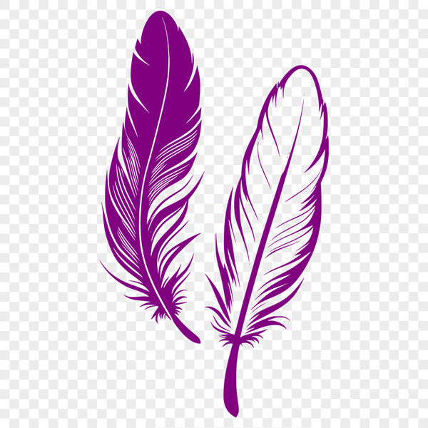 Free Vector Art: Single Feather Design An illustration of a single feather with delicate details and smooth lines.