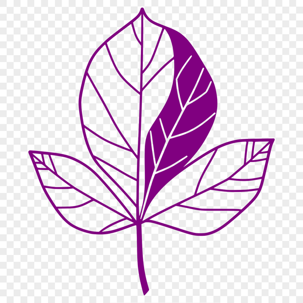 Beautiful Green Leaf Vector Design Illustrative green leaf design in a vector format, suitable for digital use.