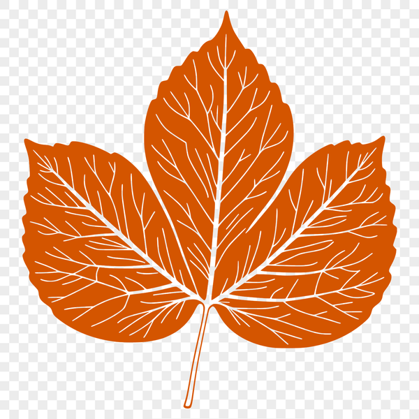 Intricate Single Leaf Vector Graphic A high-quality vector illustration of a single green leaf with intricate details.