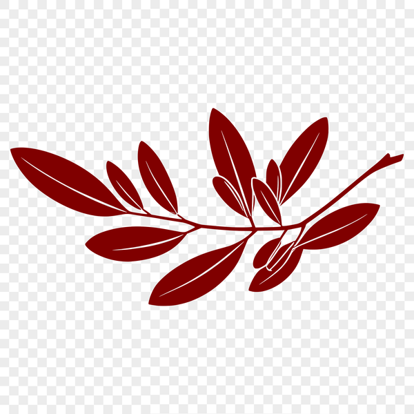 Green Leaf Vector Graphics A high-quality vector image of a single green leaf with detailed veins.